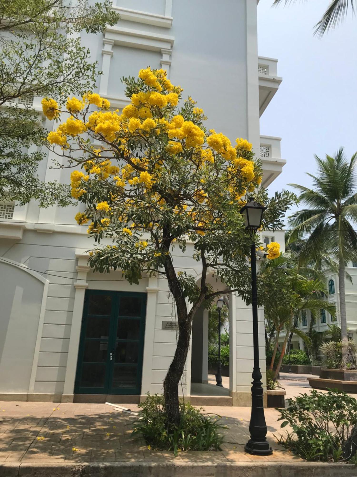 Kalia Hotel Phú Quốc-sziget Kültér fotó
